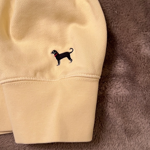 New Mens XXL BLACK DOG Heavyweight hoodie. - Picture 4 of 6